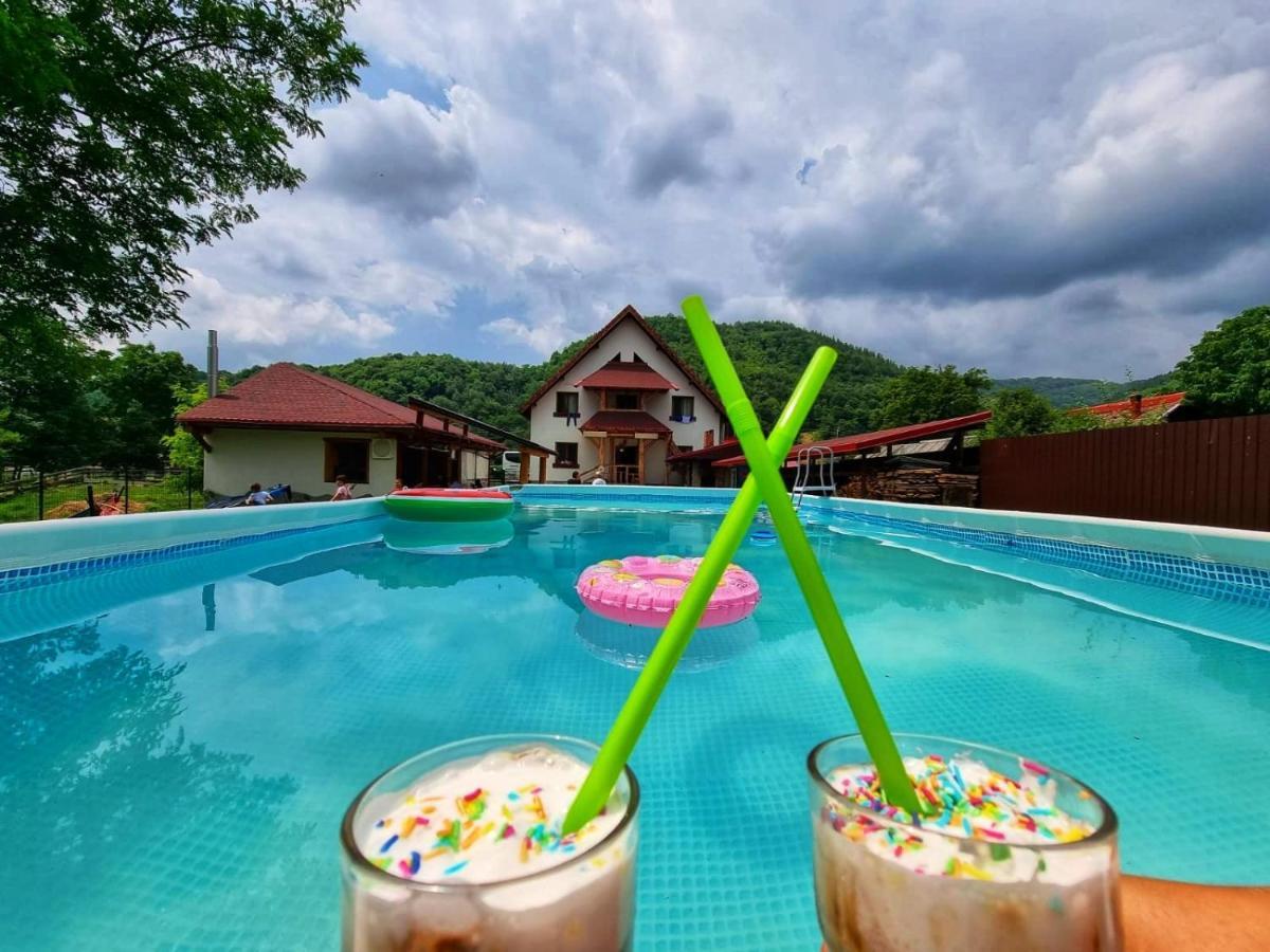 Conacul de sub munte Villa Novaci-Străini Exterior foto