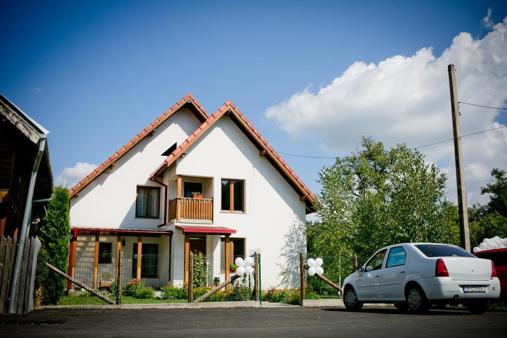 Conacul de sub munte Villa Novaci-Străini Exterior foto